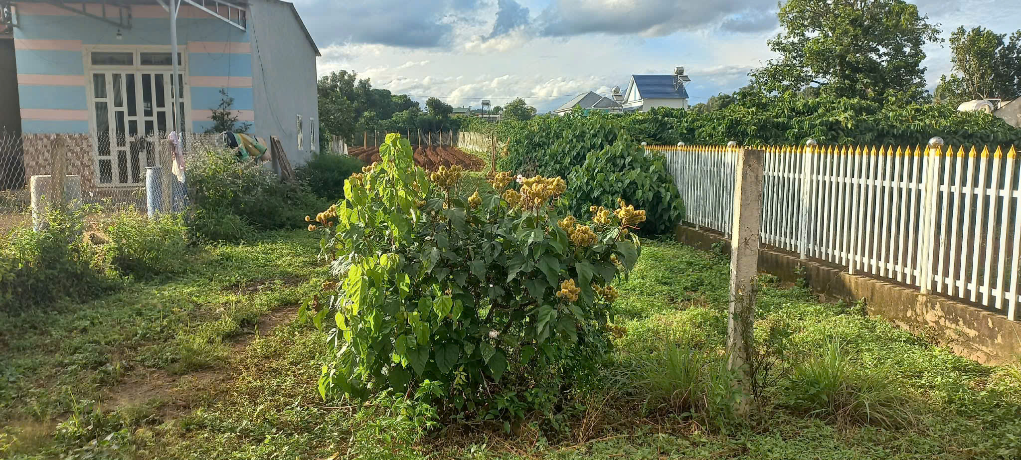 1300m2 hẻm đối diện trường cấp 3 hoàng hoa thắm, n'thôn hạ, đức trọng cũ