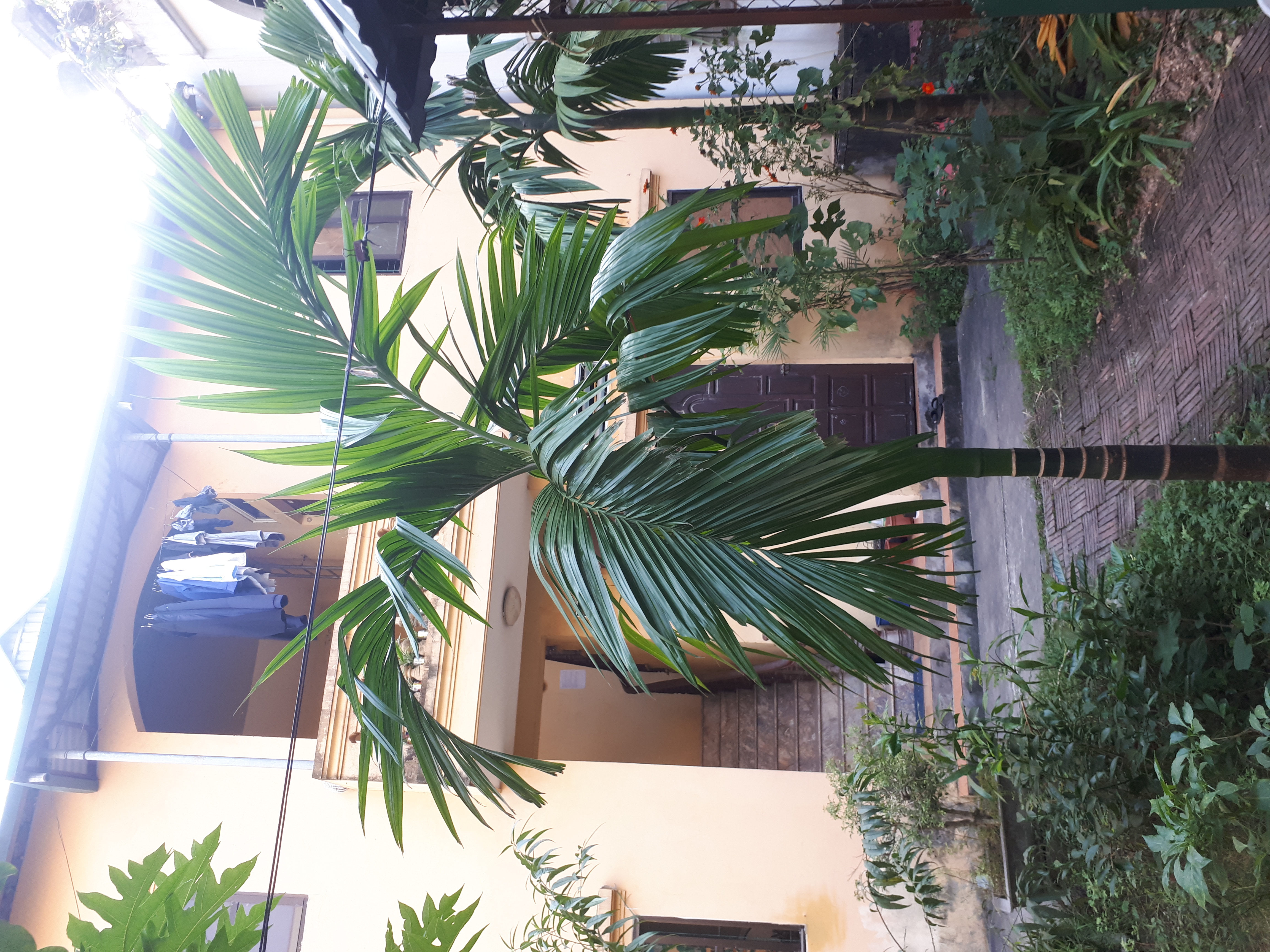 Phòng trọ Yên nghĩa  Hà đông