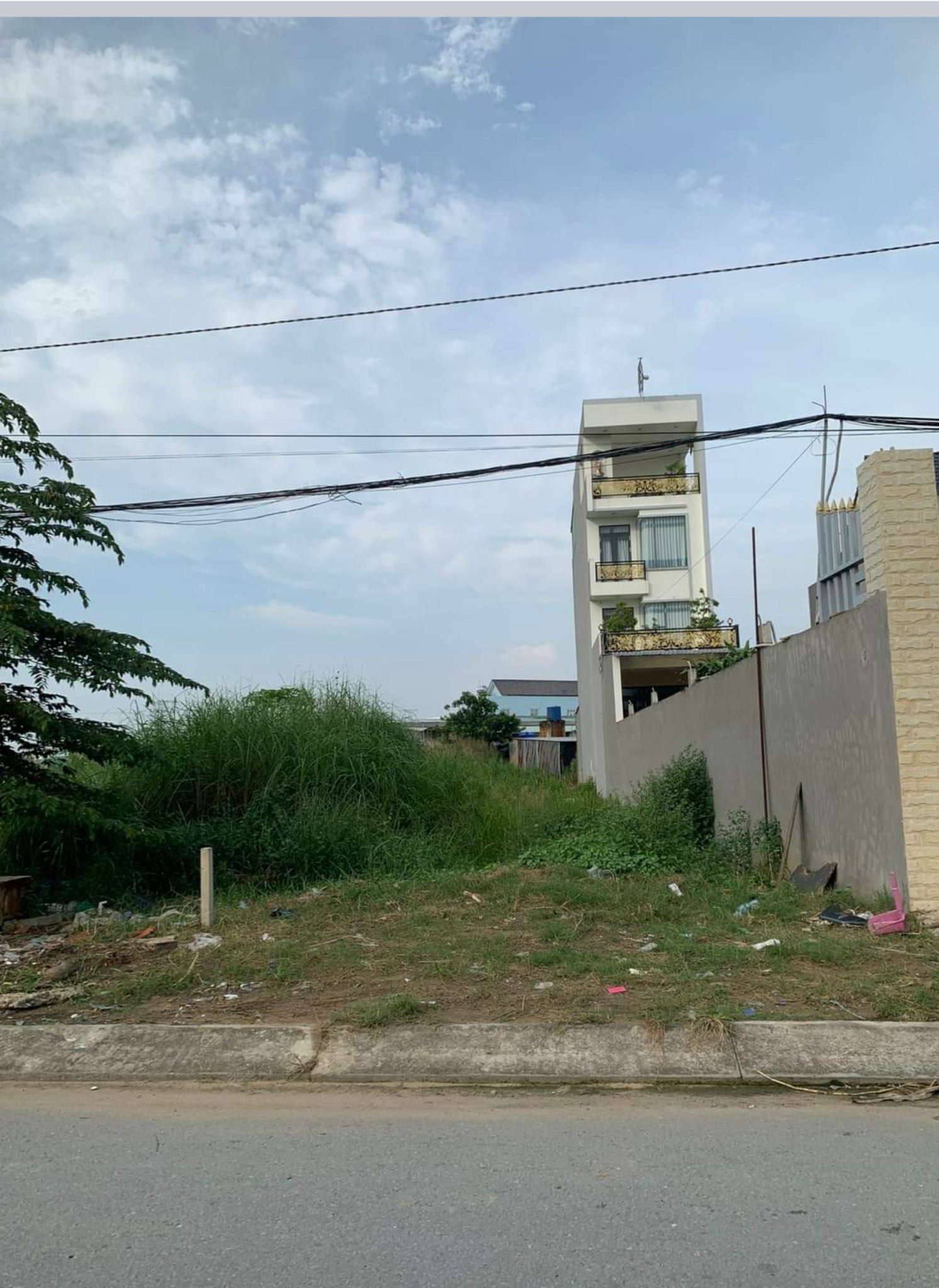 đất mặt tiền đường Trần Hưng Đạo, thị trấn Trà Cú, huyện Trà Cú, tỉnh Trà Vinh