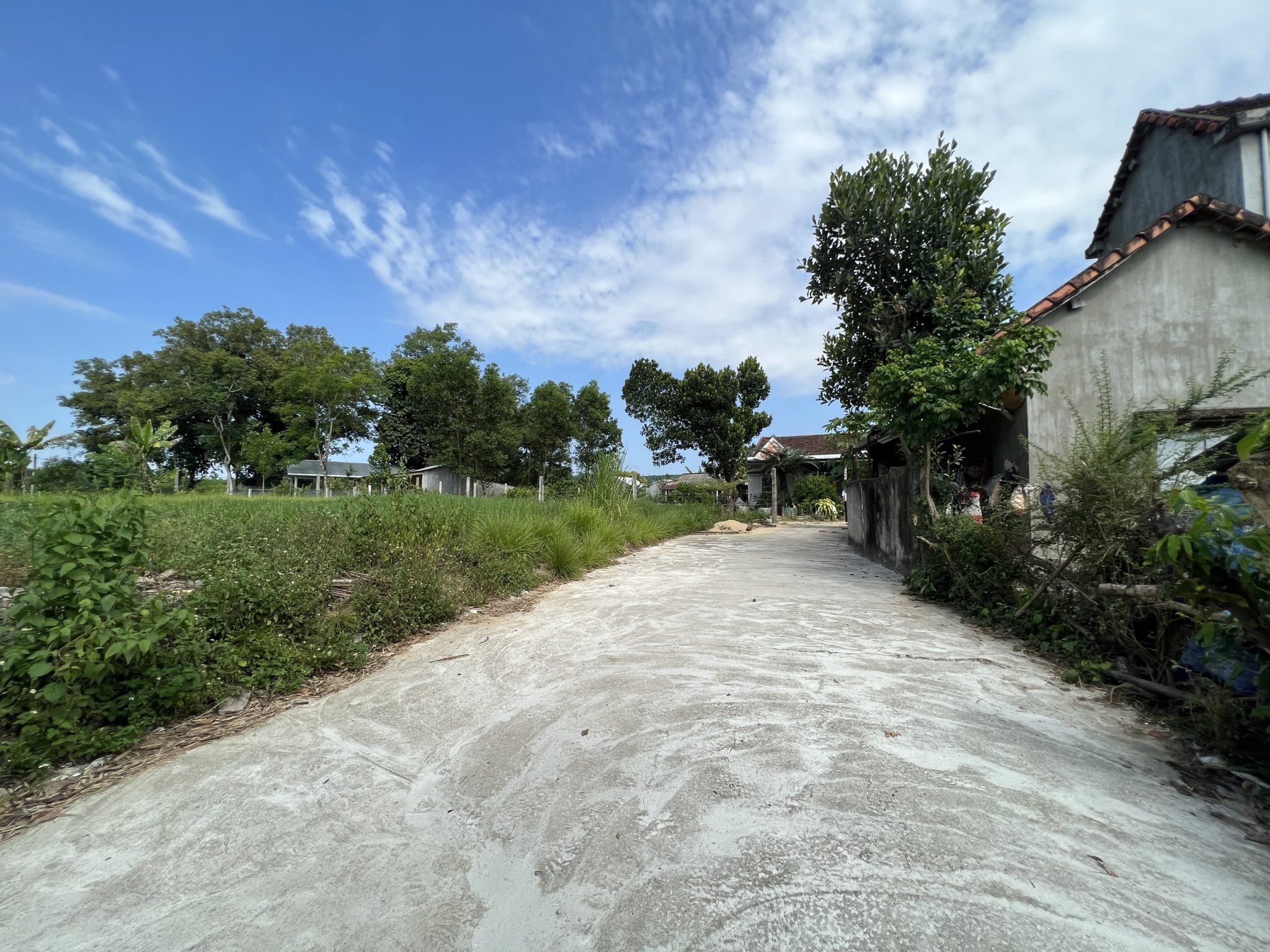 Em cần bán lô 470 trong quỹ đất dân cư đông đúc mà giá cực sốc