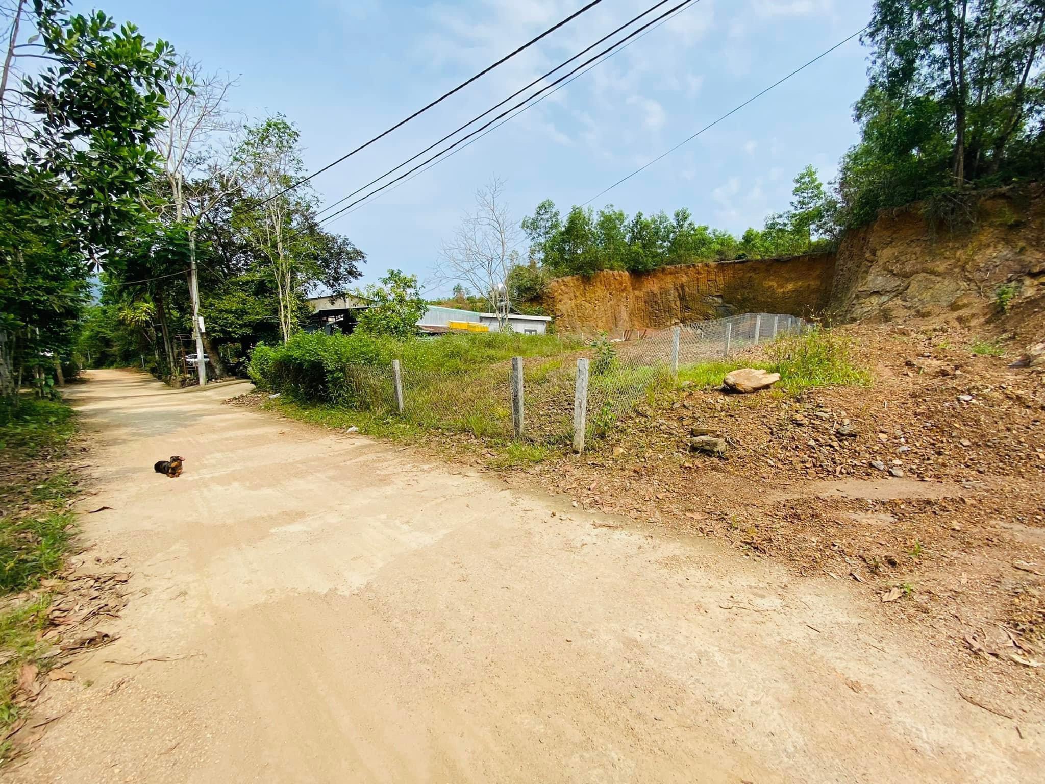 Đất nhà vườn view sông rẻ đẹp 2.5 tỷ/600m2