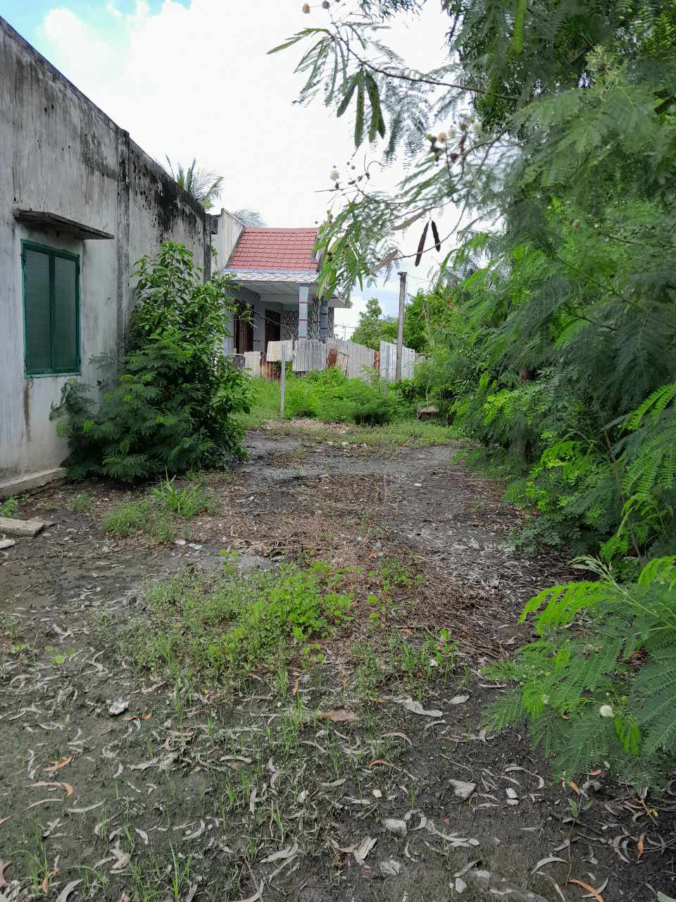 Cần bán đất cho con đi du học