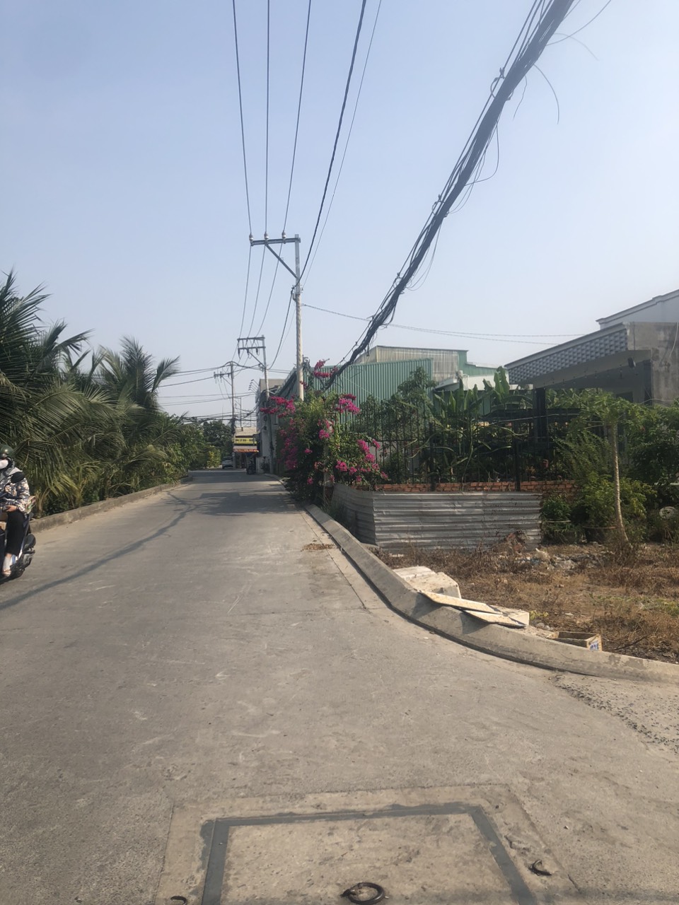 Đất thổ cư đường 11m giá hơn 3ty