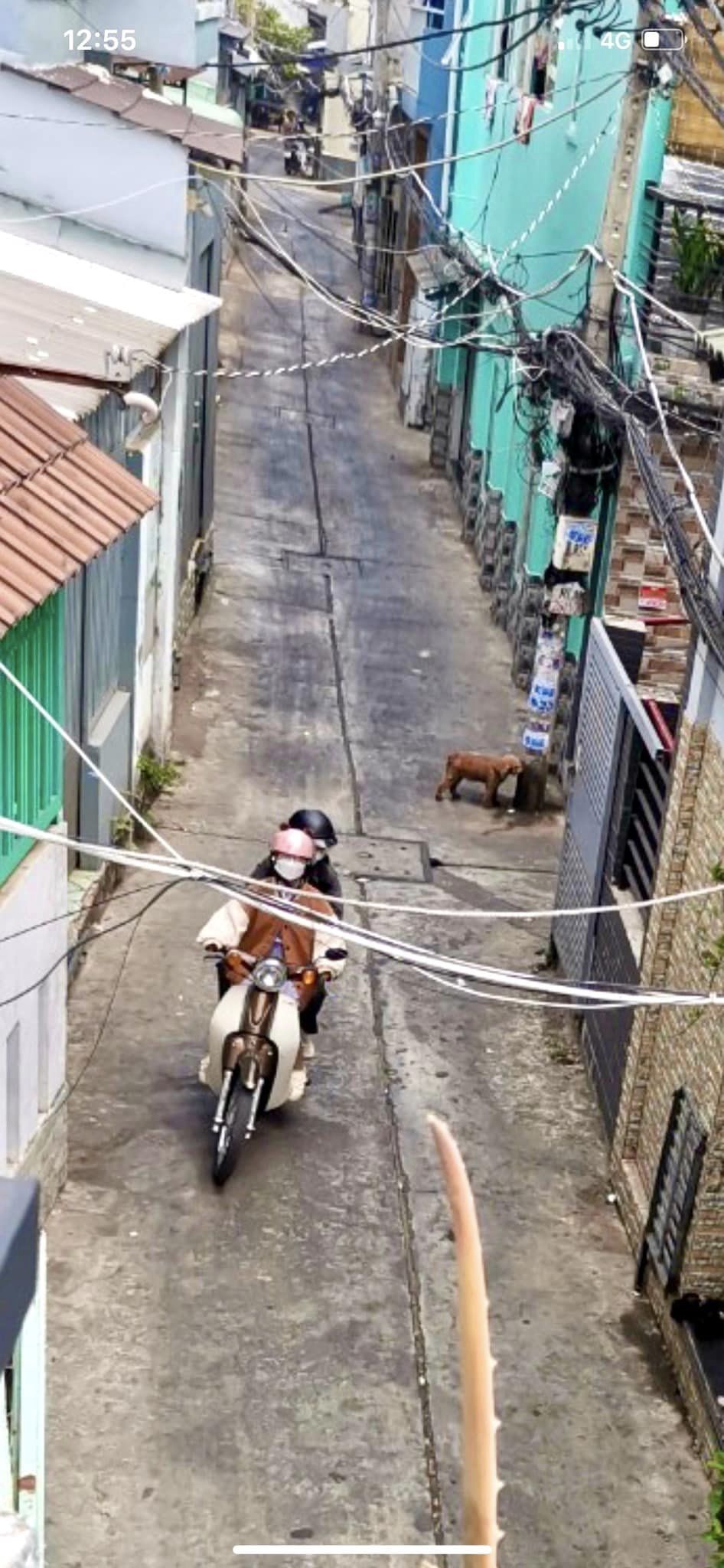 Bán ĐẤT thổ cư rộng gần 100m2 Quận 8, tăng luôn căn nhà cấp 4, Tiện Xây Mới