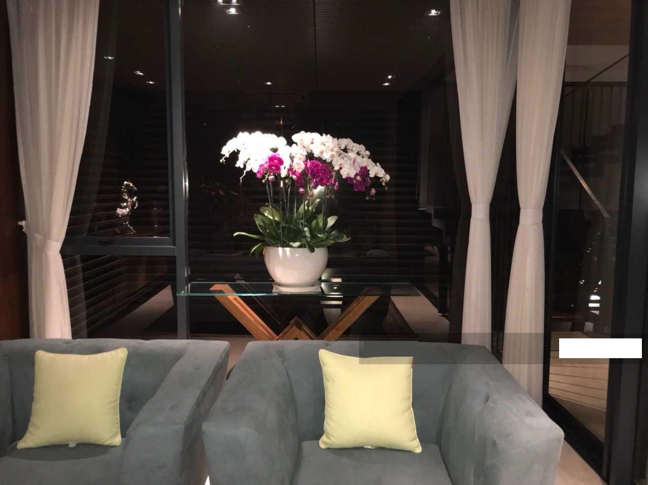 Mt đường nguyễn tri phương, q10. 200m2. 6 tầng. giá chỉ 275tr/m2 ~ 55 tỷ.