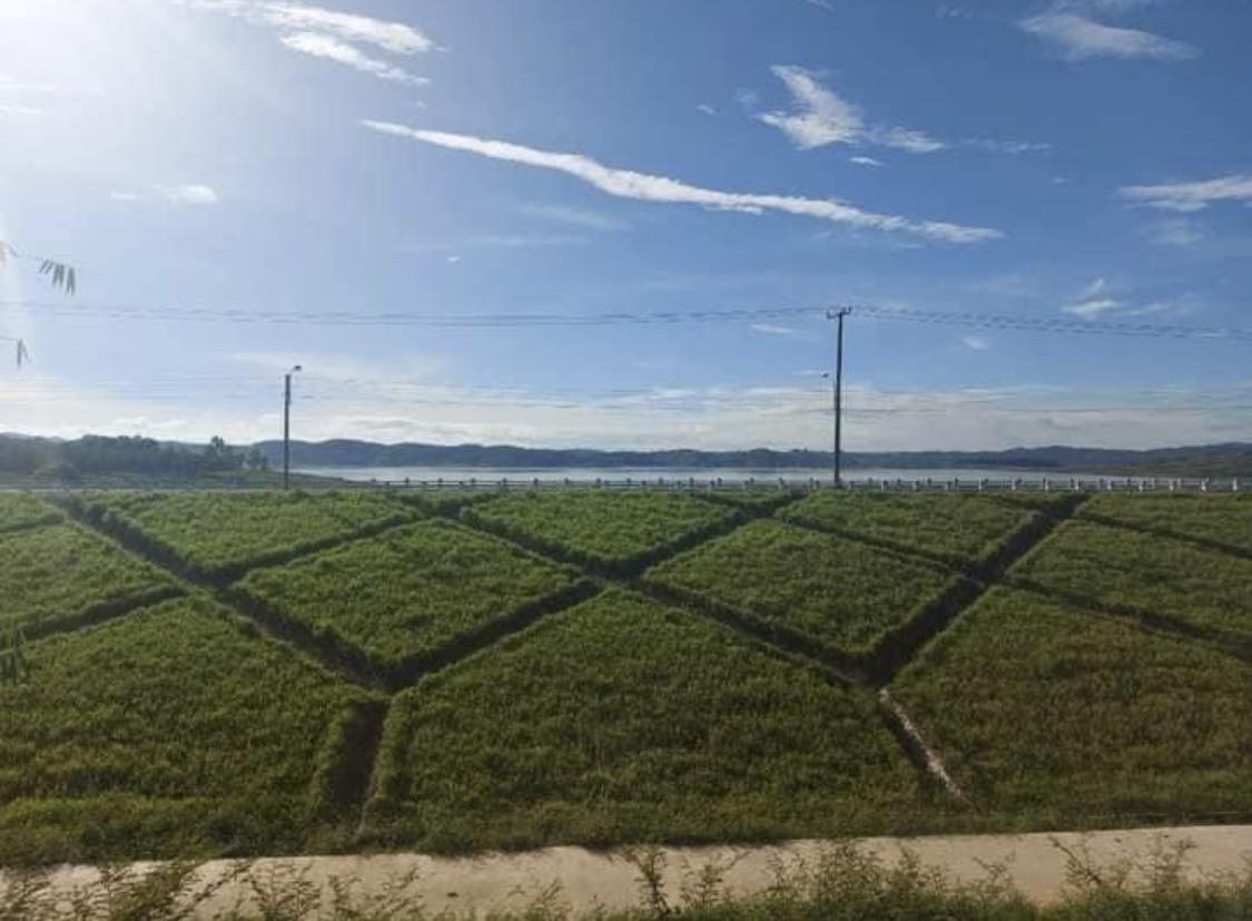 Cần bán nhà 7.5 x 50m mặt tiền ql28b, ngay chợ Ninh Gia, gần ngay ngã 3, Giá 6 t