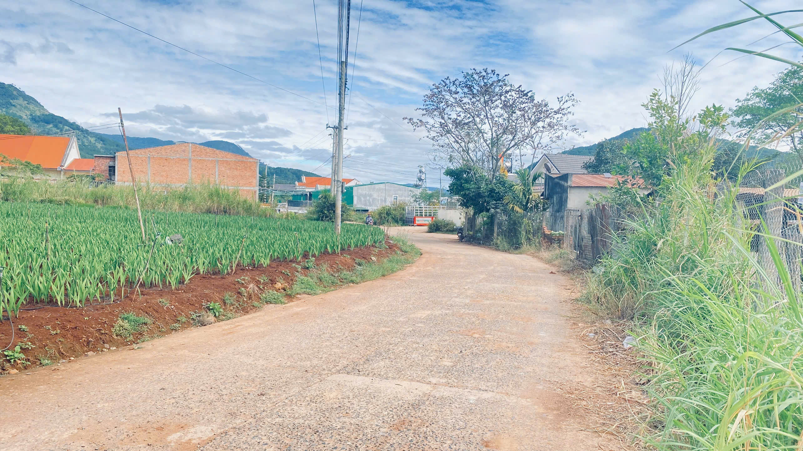 Đất hẻm ql27, hiệp thạnh, phi nôm, pê tông 2 oto tránh nhau