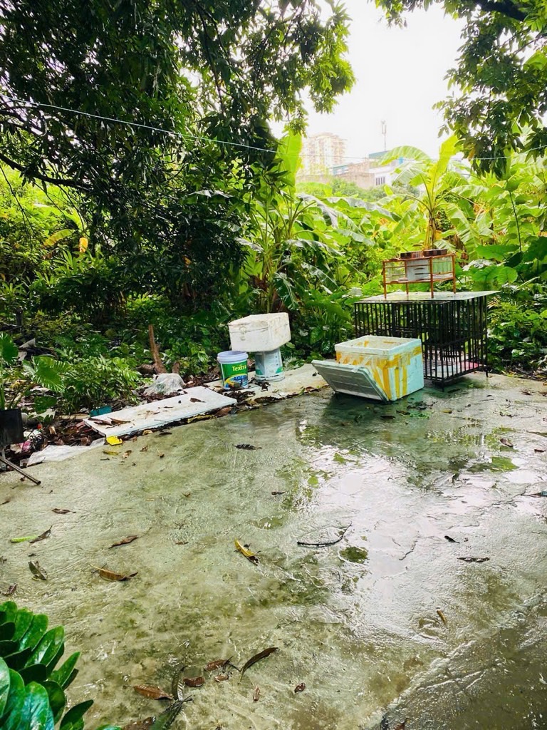 Bán đất ngũ nhạc 112M ô tô vào đất hoàng mai