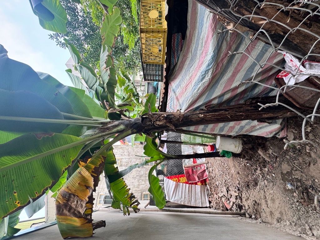 Bán đất khuyến lương 54M VF3 vào đất hoàng mai