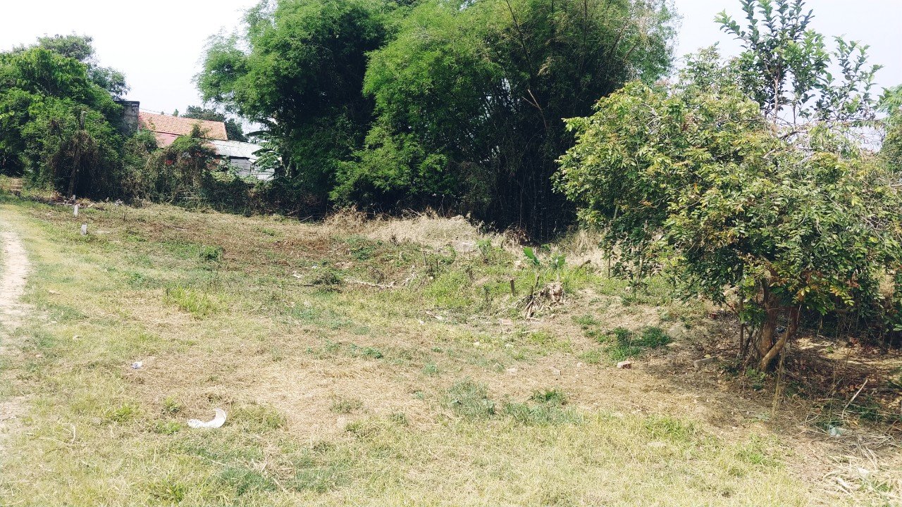 cần bán gấp đất thổ cư