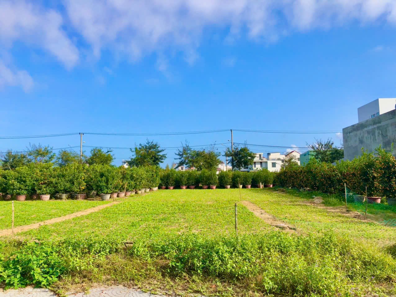 Ngân hàng thanh lý 350m đất mt trục Đồng Nò - view sông cưc đẹp giá tốt