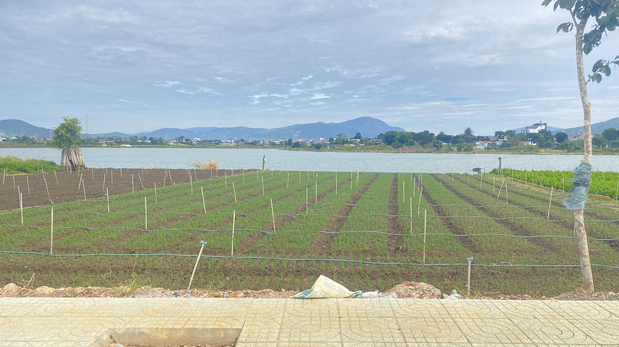 Đất mặt tiền chính hồ xuân hương view hồ nam sơn trước mặt thuộc liên nghĩa đức