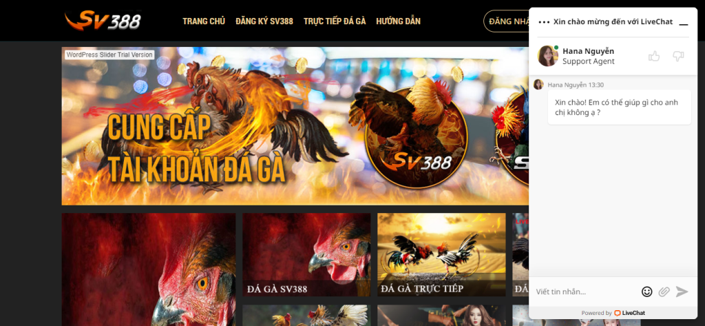 Cách nạp tiền vào sv388 đơn giản hiệu quả