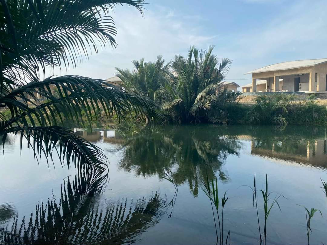 Chào bán đất Cẩm Thanh Hội An. Địa thế đẹp có view sông, nhìn resort Cồn Ba Xã