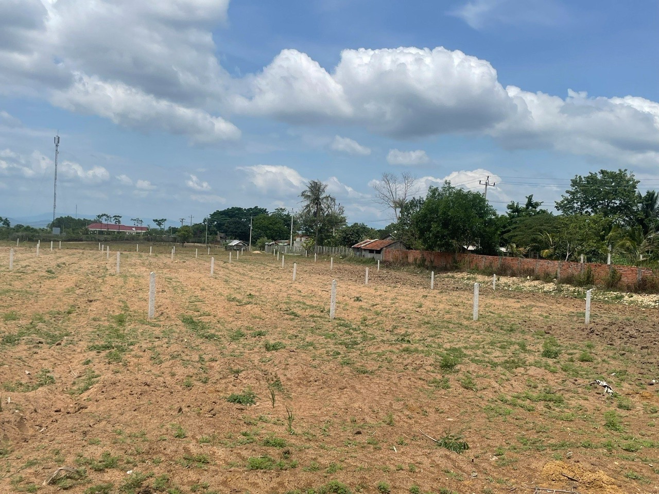 Đất ngộp - giá rẻ - ngay quốc lộ 19c- nhiều tiện ít phù hợp để đầu tư