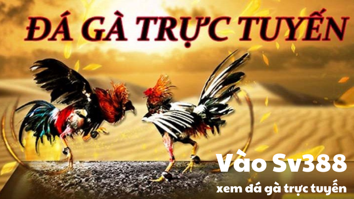 SV388 Đăng Ký Hướng Dẫn Chi Tiết Và Dễ Hiểu Cho Người Mới