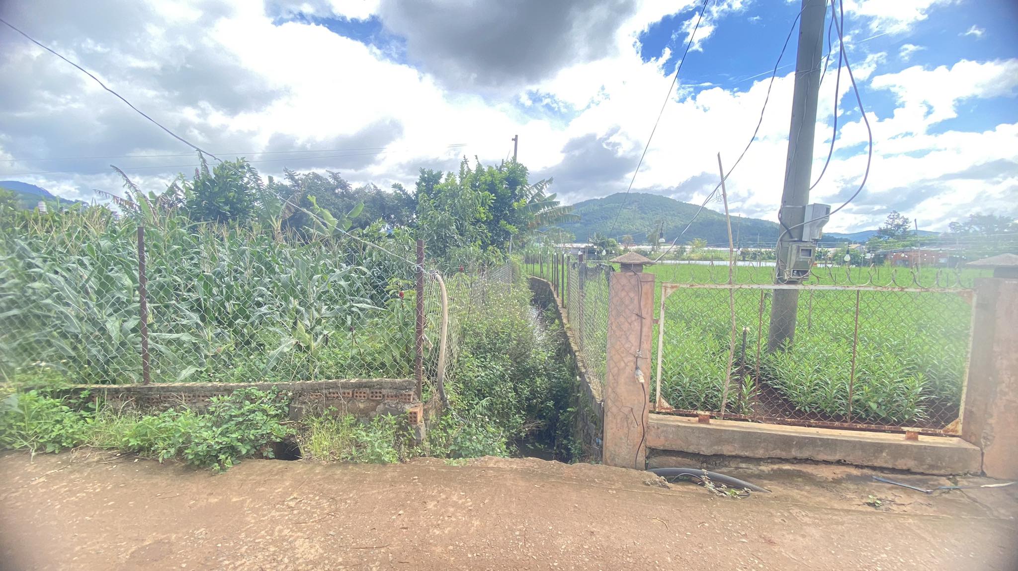 Chủ gửi lô đất xây biệt thự hẻm ql20, hiệp thạnh, phi nôm đức trọng giá tốt 4,5