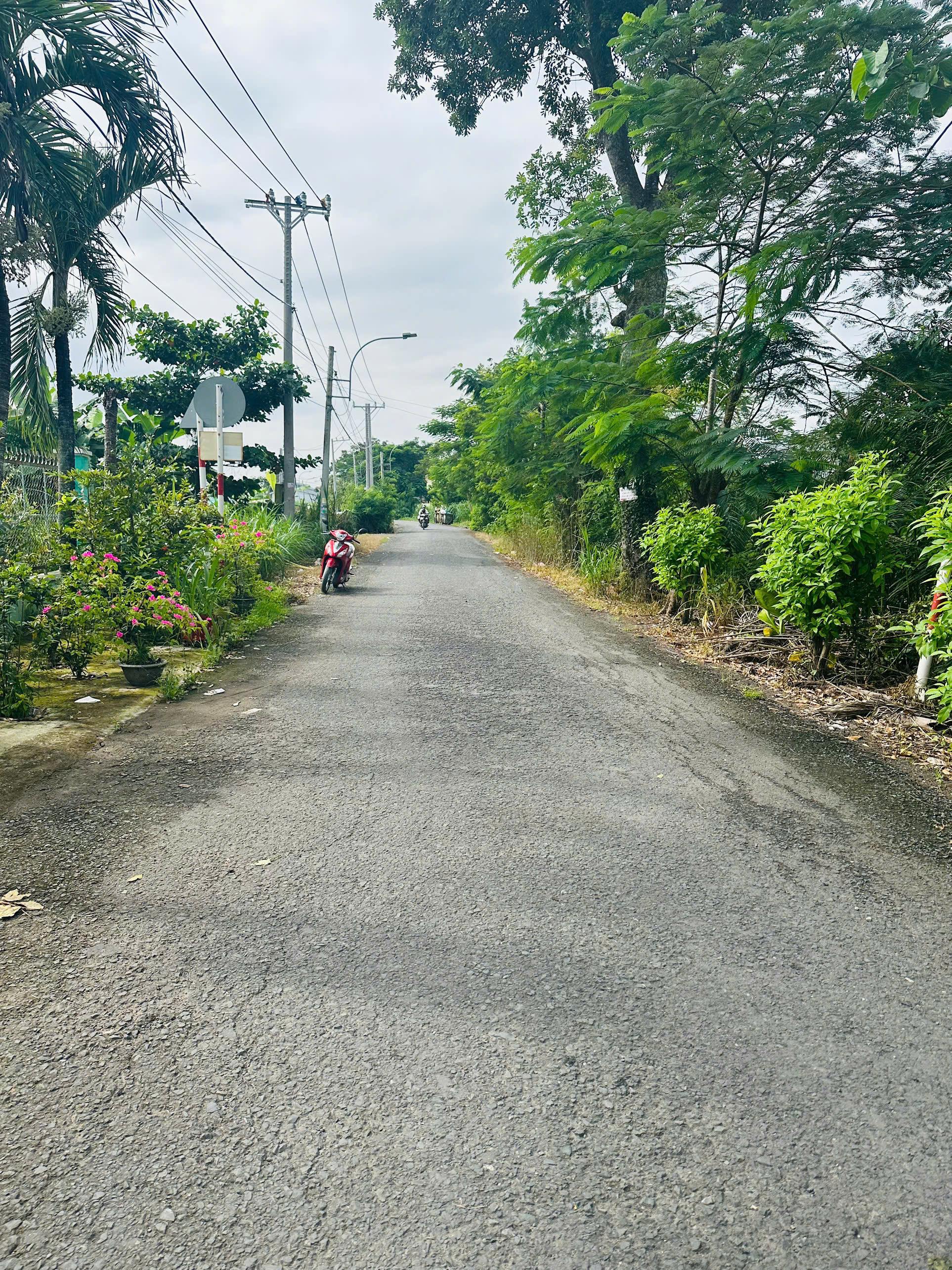 Lô đất Mặt tiền ĐẸP RỰC RỠ. Mặt tiền Huyện 90B Mỹ Phong, Mỹ Tho cũ.