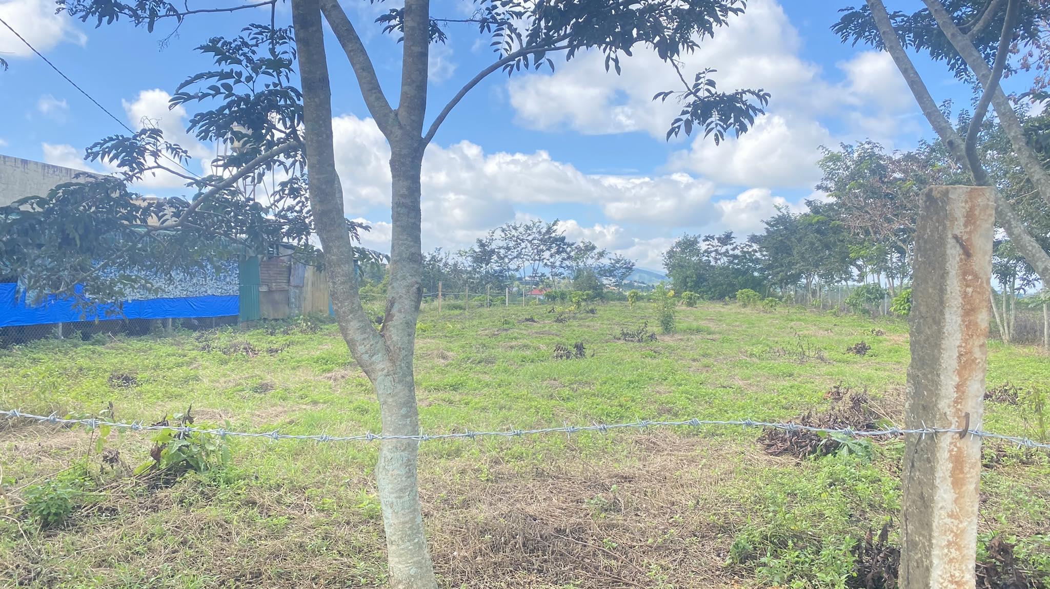 Đất hẻm oto nghĩa lâm, liên hiệp đức trọng chỉ 4,9 tỷ