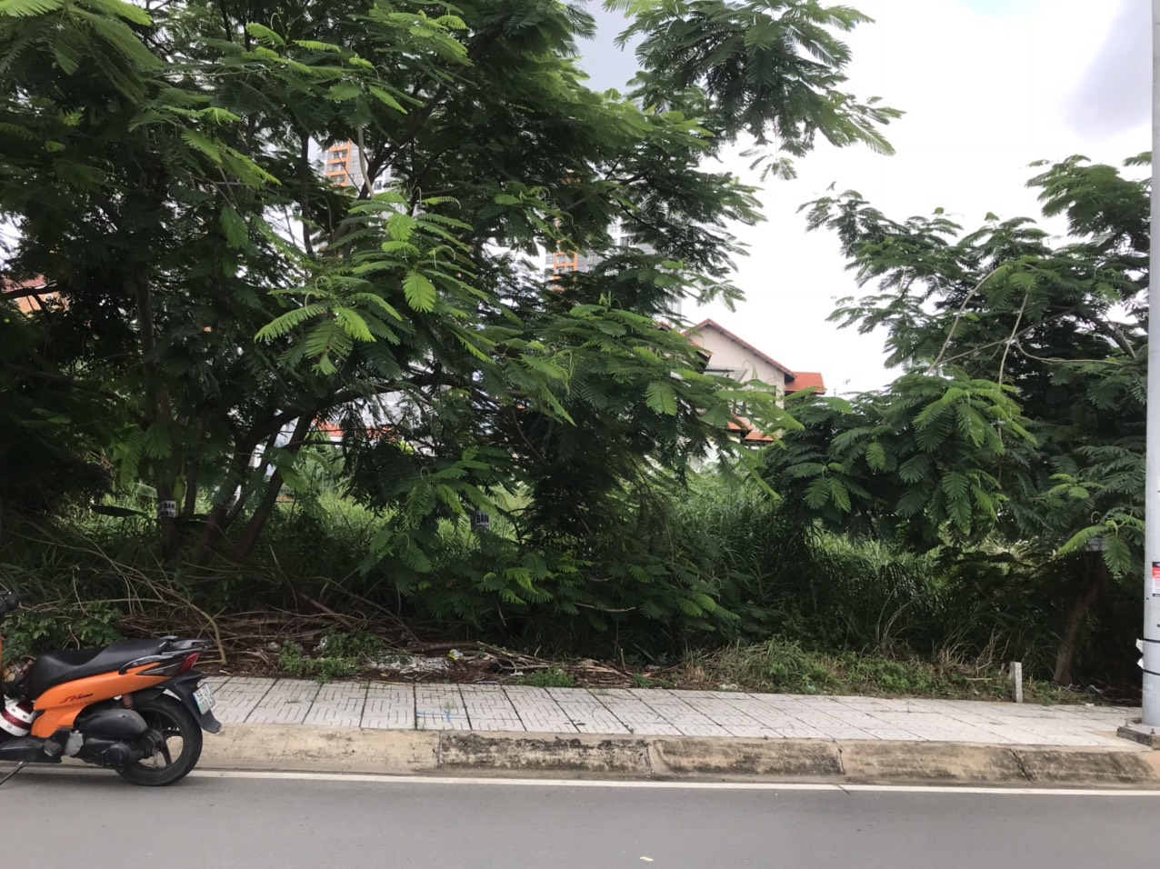 ĐẤT Biệt Thự 254m2 mặt tiền sông phường An Phú Quận 2