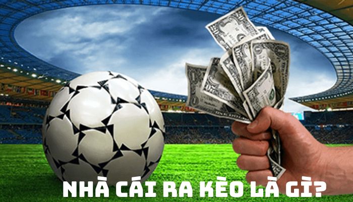 NHÀ CÁI RA KÈO: BÍ QUYẾT THÀNH CÔNG TRONG CÁ ĐỘ BÓNG ĐÁ