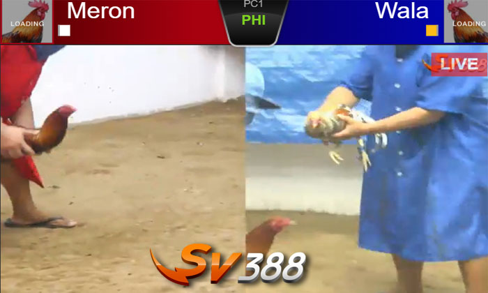 TỔNG GÀ SV388 UY TÍN Việt Nam