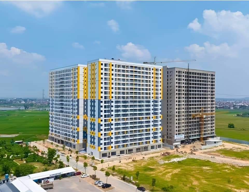 evergreen bắc giang