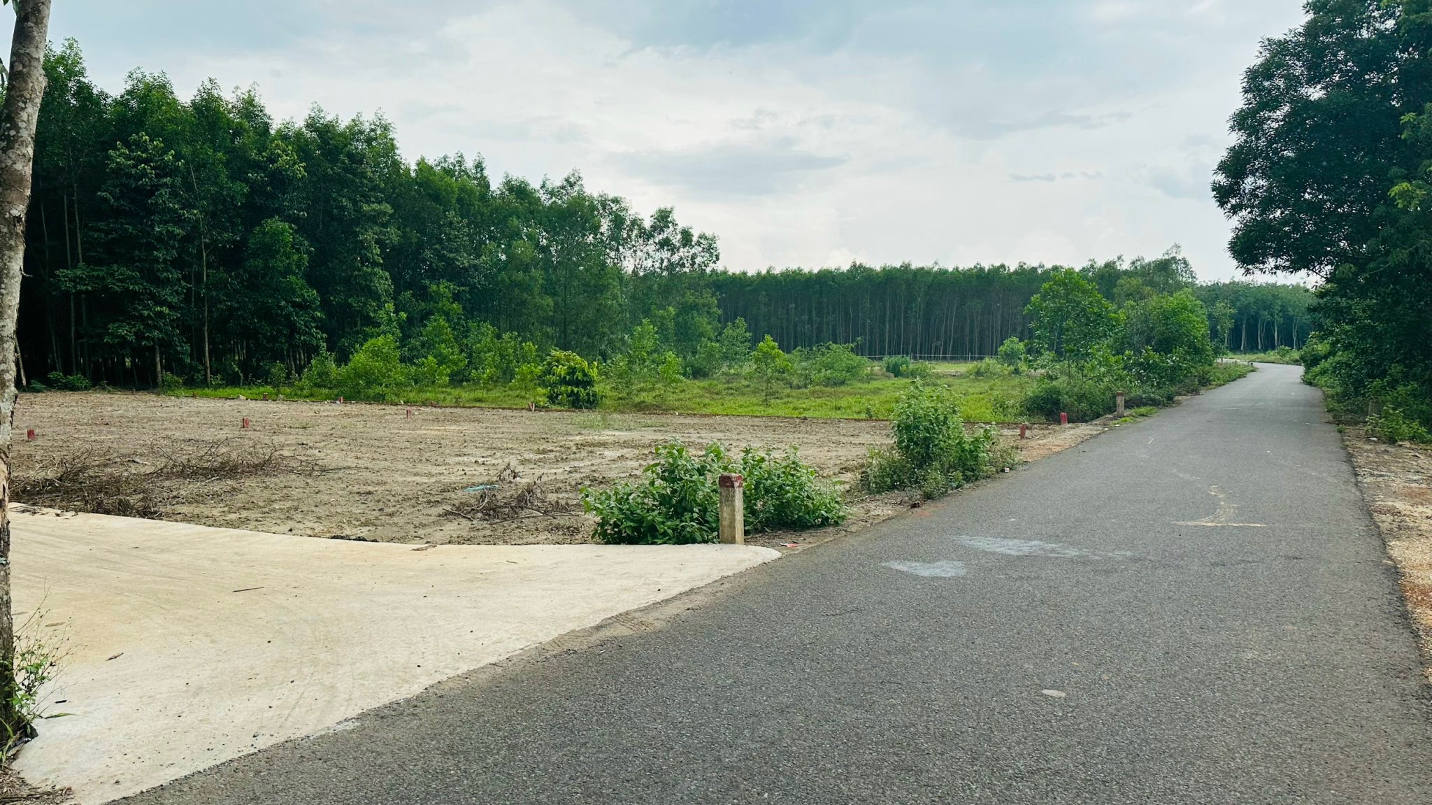 Nhanh chân thì còn chậm chân thì hết-Cơ hội làm F1 của mảnh đất ( CHỈ CÓ 5 LÔ )