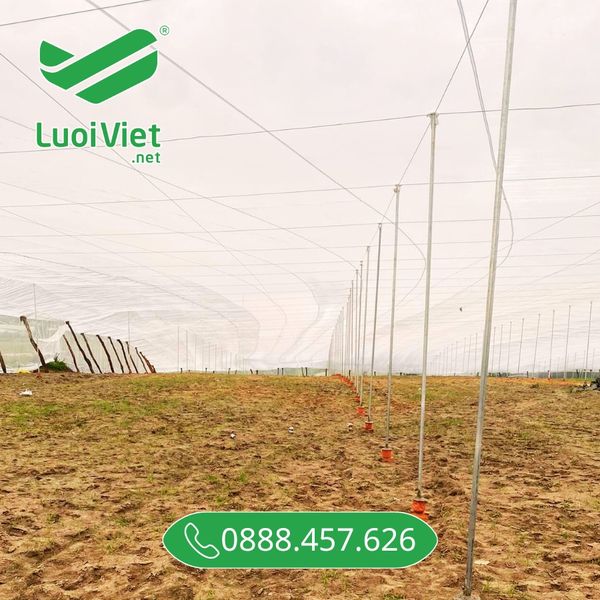 Lưới chống côn trùng 16 mesh, 18 mesh, ...