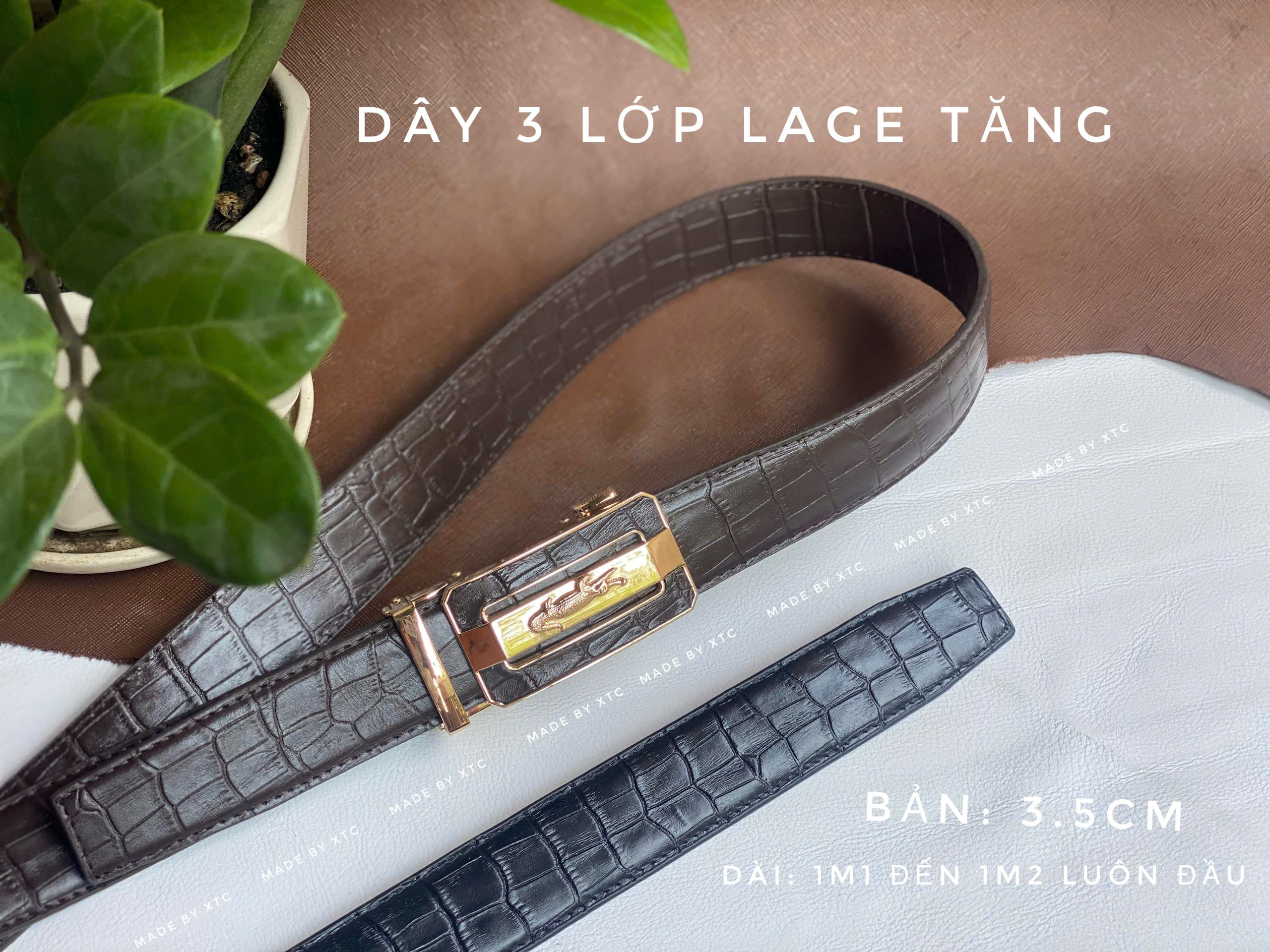 Tượng vườn cổ tích, Tượng Bạch Tuyết và 7 chú lùn, Tượng Cô Tấm