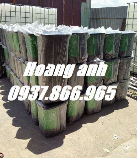 Thùng rác phân loại 2 ngăn, thùng rác 60l, bán thùng rác toàn quốc
