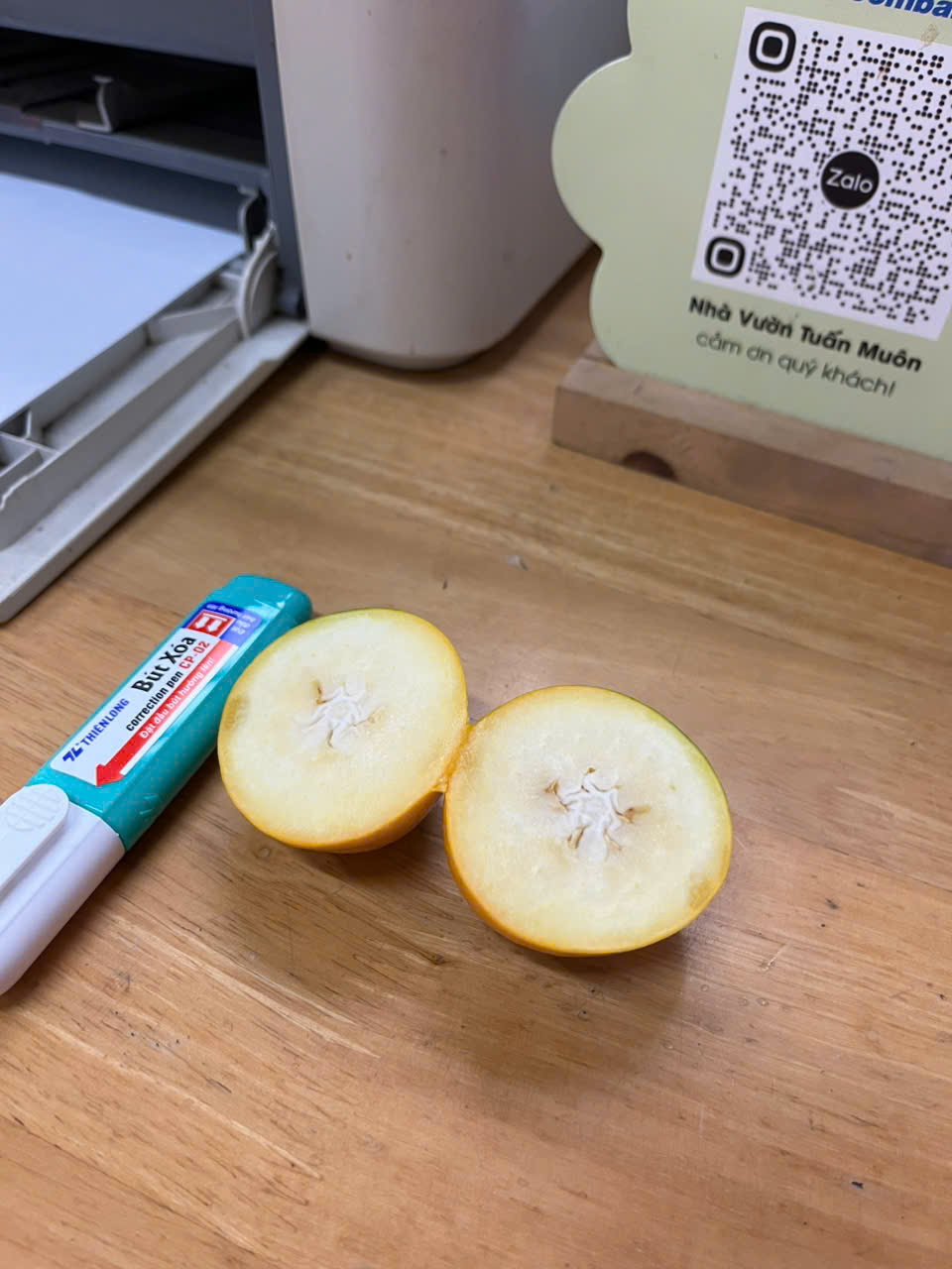 Cây giống kim quất