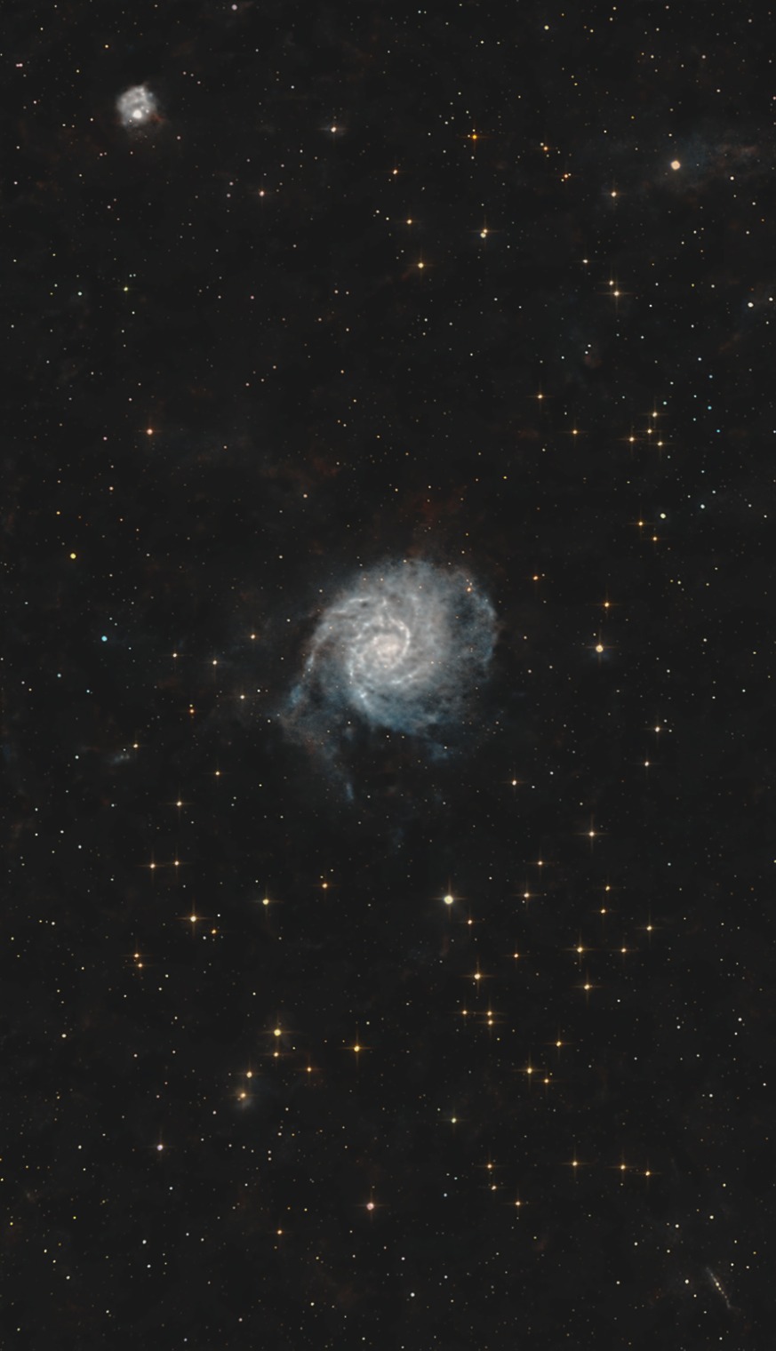 Kính Hiển Vi SVBONY SM202 (40-2000x)