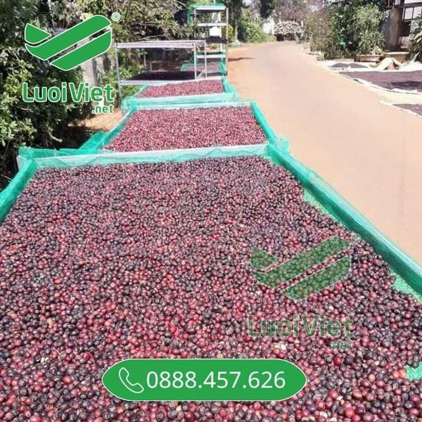 Lưới phơi nông sản số lượng lớn, giá tốt