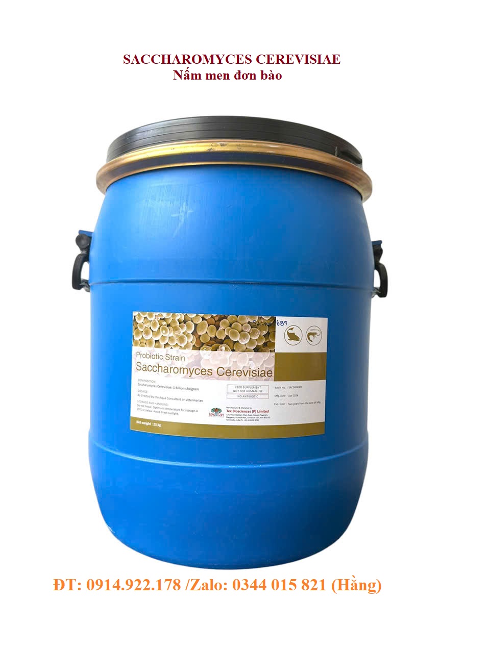 Nấm men đơn bào Saccharomyces Cerevisiae, giúp tôm cá tăng trưởng tốt