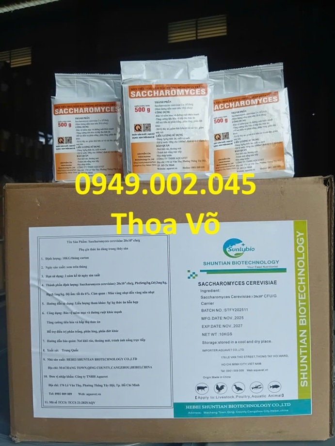 SACCHAROMYCES CEREVISIAE – Men tiêu hóa đậm đặc, phòng bệnh phân trắng hiệu quả