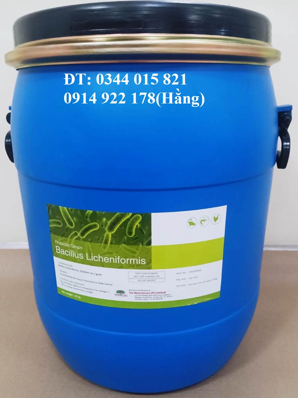 Bacillus Licheniformis, men vi sinh giúp vật nuôi tiêu hóa tốt thức ăn