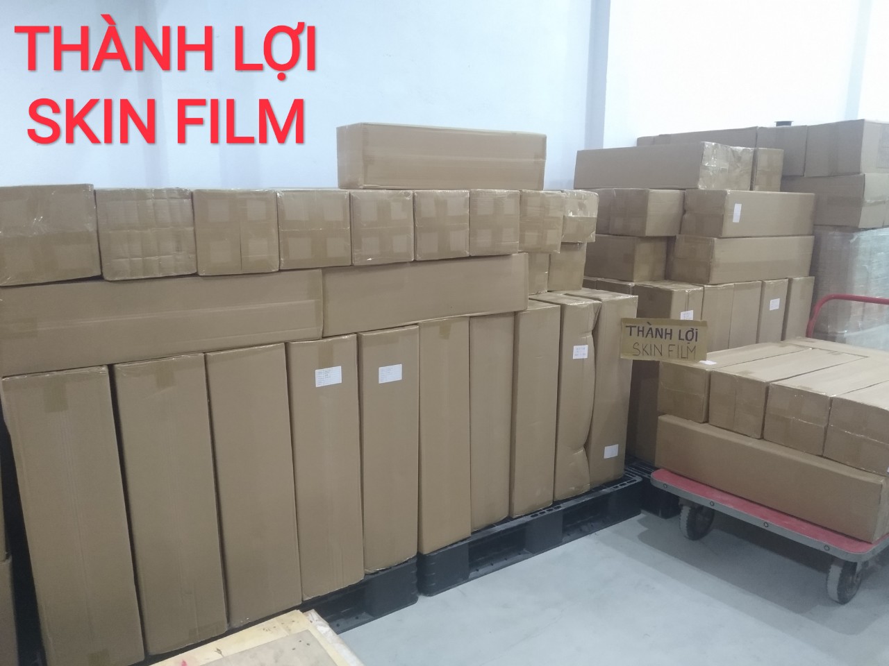 Màng skinpack, skin film (hút sát da)