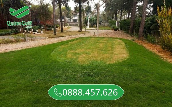 Lưới chắn côn trùng màu trắng giúp cây trồng an toàn, khỏe mạnh