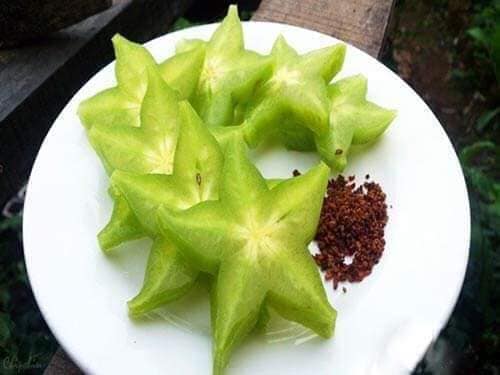 Cây giống khế chua