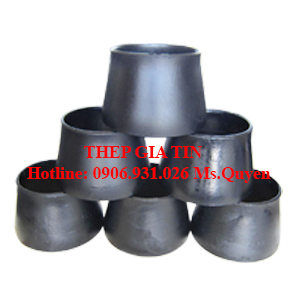 Bầu giảm đồng tâm SCH20