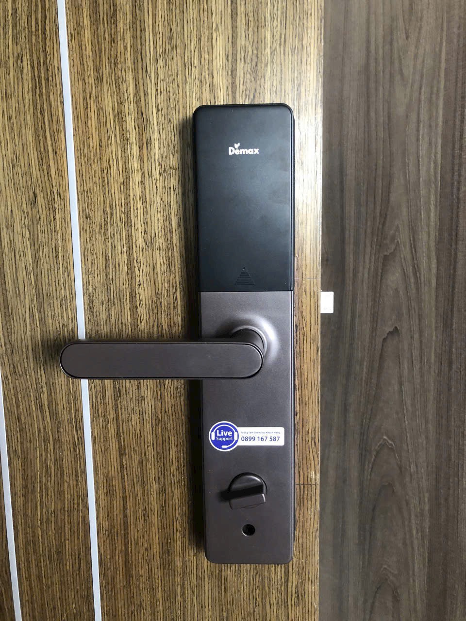 KHÓA THÔNG MINH DEMAX SL628 CB