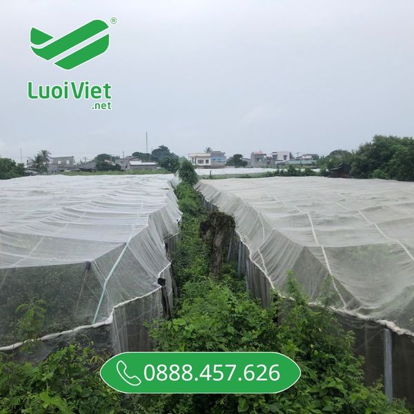 Lưới chắn vườn nho, lưới nông nghiệp