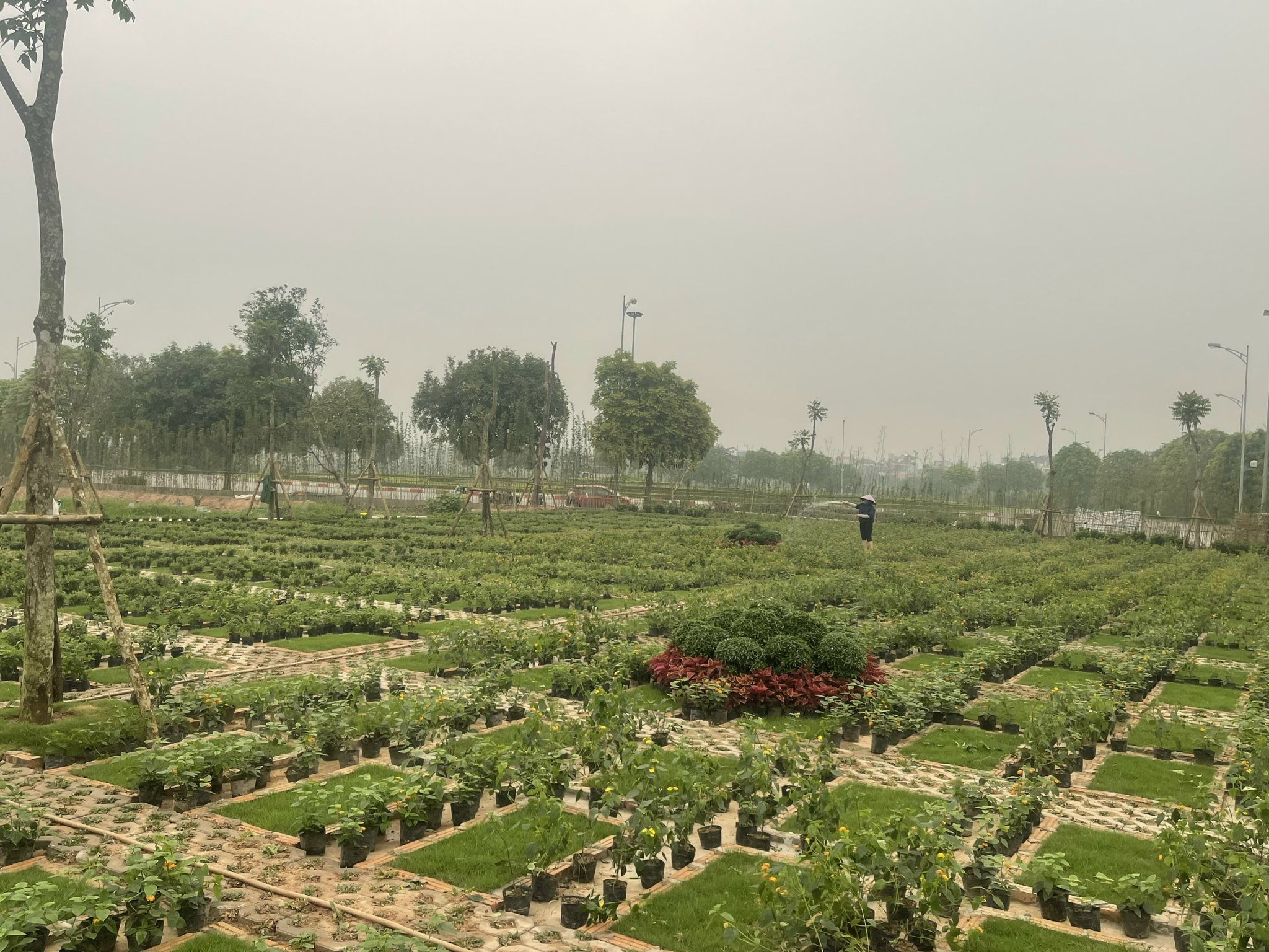 em có 4 ô đất tại Nghĩa trang Thanh Am, gần đê, view đẹp