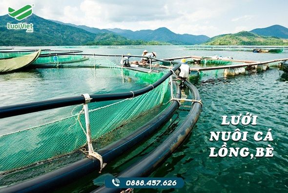 Lưới nuôi cá lồng bè chất lượng trực tiếp tại nhà máy