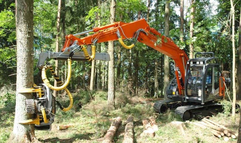 Máy công nghiệp cưa xẻ gỗ keo Thanh Hoàng