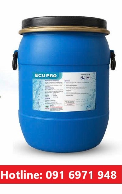 Cách phòng bệnh TPD tôm trong suốt, mờ gan tụy