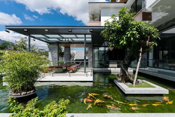Quy chuẩn thiết kế hồ cá Koi ở tại Đồng Nai, Tphcm