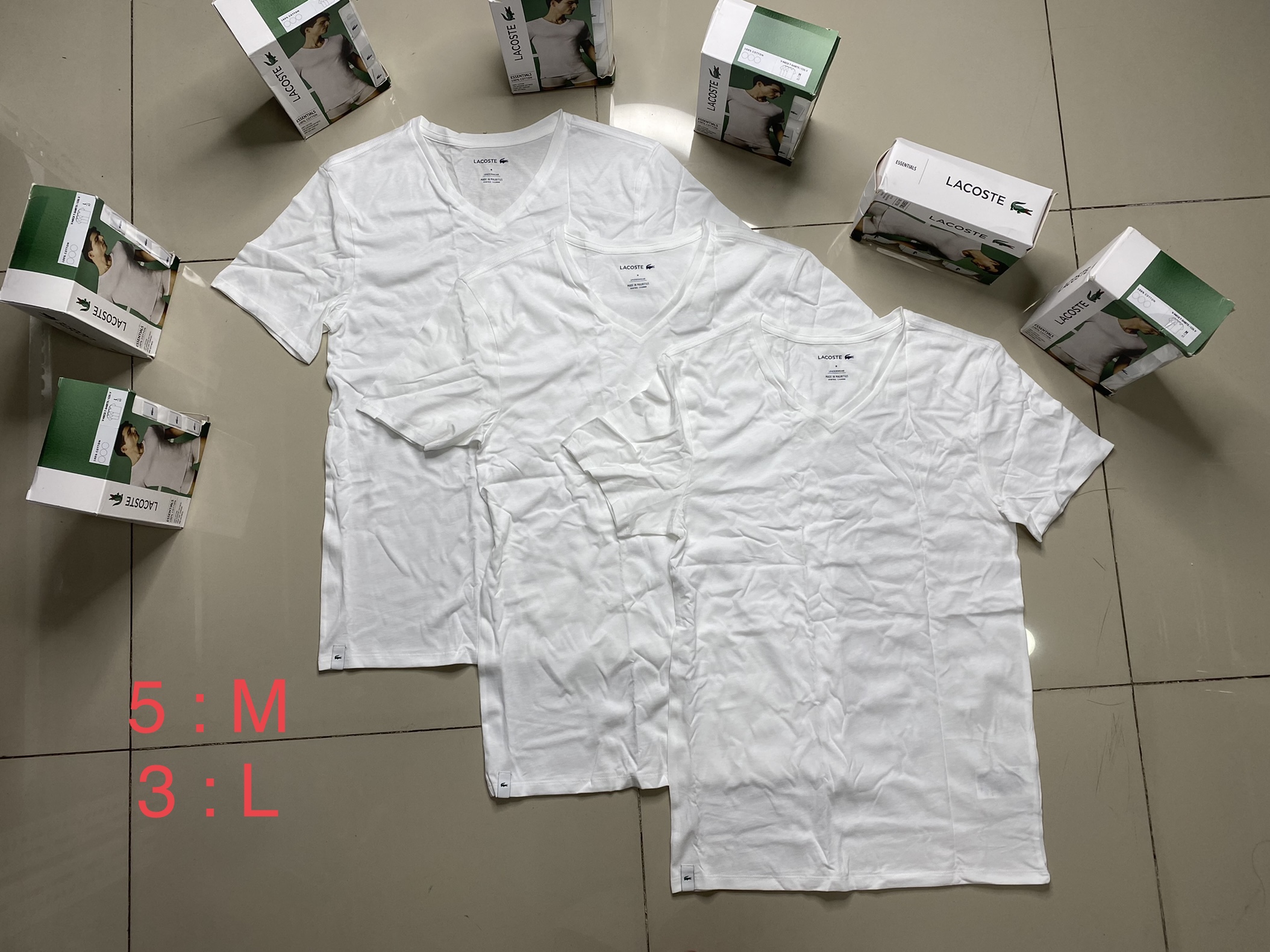 Set 3 áo lót Cá Sấu Lacoste chính hãng