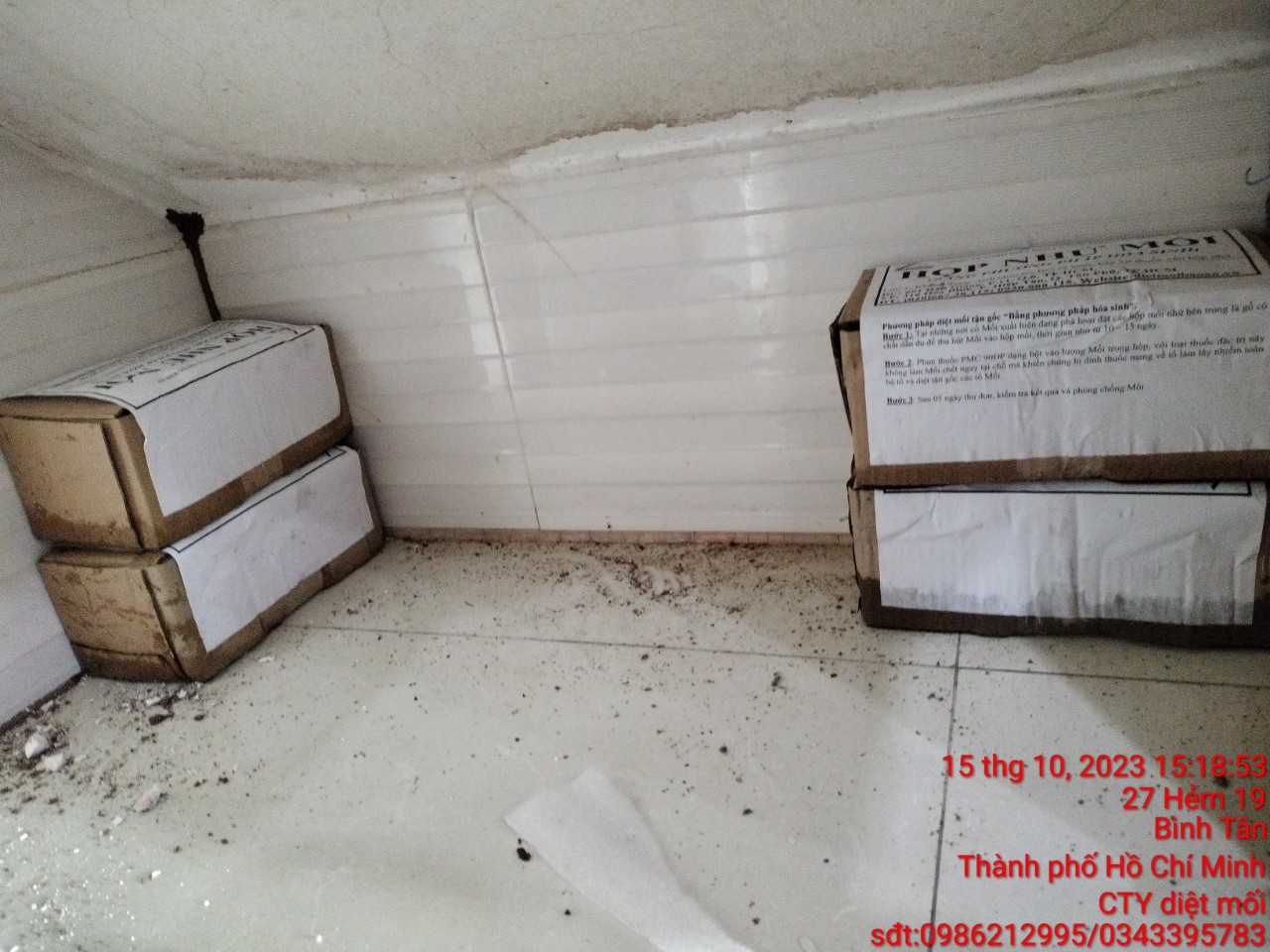 Diệt mối và côn trùng tận gốc